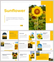 Creative Sunflower PowerPoint And Google Slides Templates