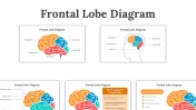 Frontal Lobe Diagram PowerPoint and Google Slides Templates