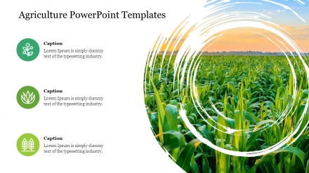 Best agriculture PowerPoint templates presentation slides
