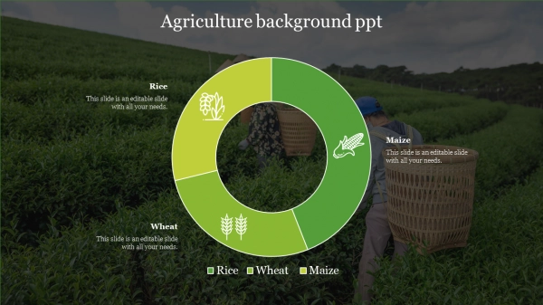 Best Agriculture Background PPT