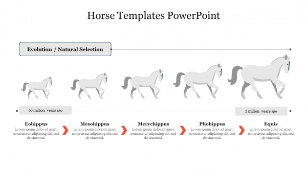 Explore Free Horse Templates PowerPoint Presentation