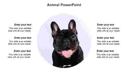 Animal PowerPoint presentation