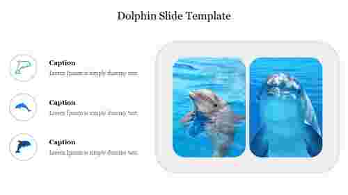 Download Attractive Dolphin Slide Template Designs