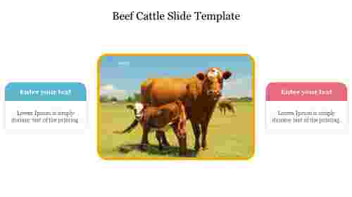 Editable Beef Cattle Slide Template Presentation