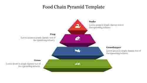 Stunning Food Chain Pyramid Template Presentation Slide 