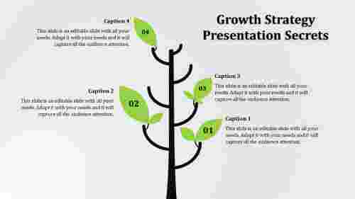 growthstrategypresentation