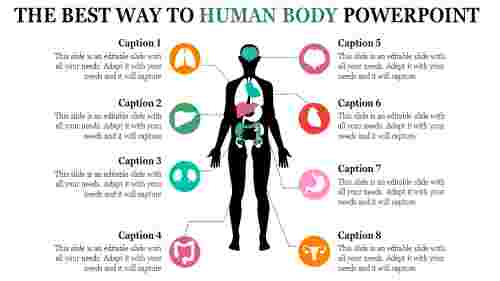 Detailed Human Body PowerPoint Template Presentation