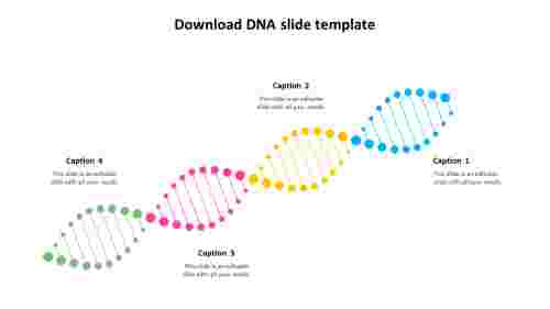 Download DNA slide template model