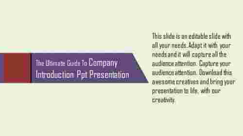 Company Introduction PPT Presentation Template Designs
