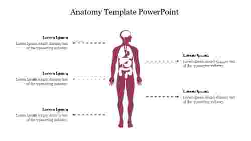 Editable Anatomy Template PowerPoint Slide Presentation