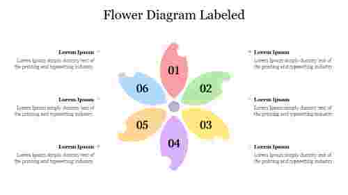 Attractive%20Flower%20Diagram%20Labeled%20Presentation%20Template