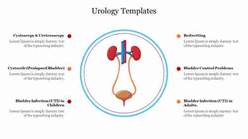 Best Urology Templates For PPT Presentation