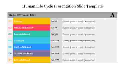 Human Life Cycle Presentation Slide Template