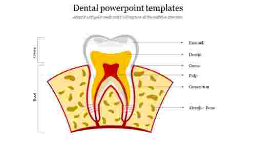 Effective Dental PowerPoint Templates Presentation