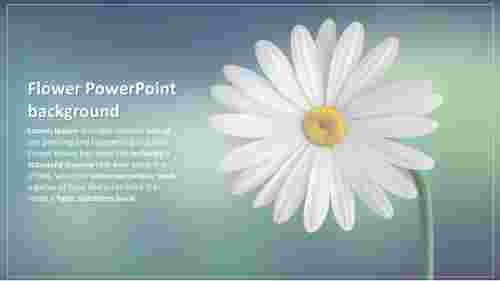 Presentable%20Colorful%20flower%20powerpoint%20background%20designs
