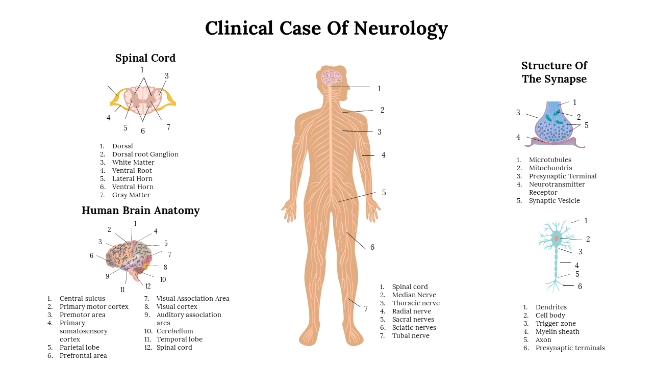 Clinical Case Of Neurology