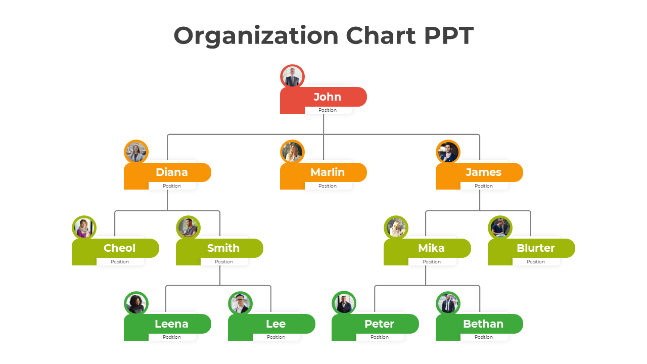 Best Organization Chart