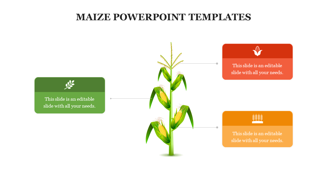 Our Predesigned Maize PowerPoint Templates Slide Design