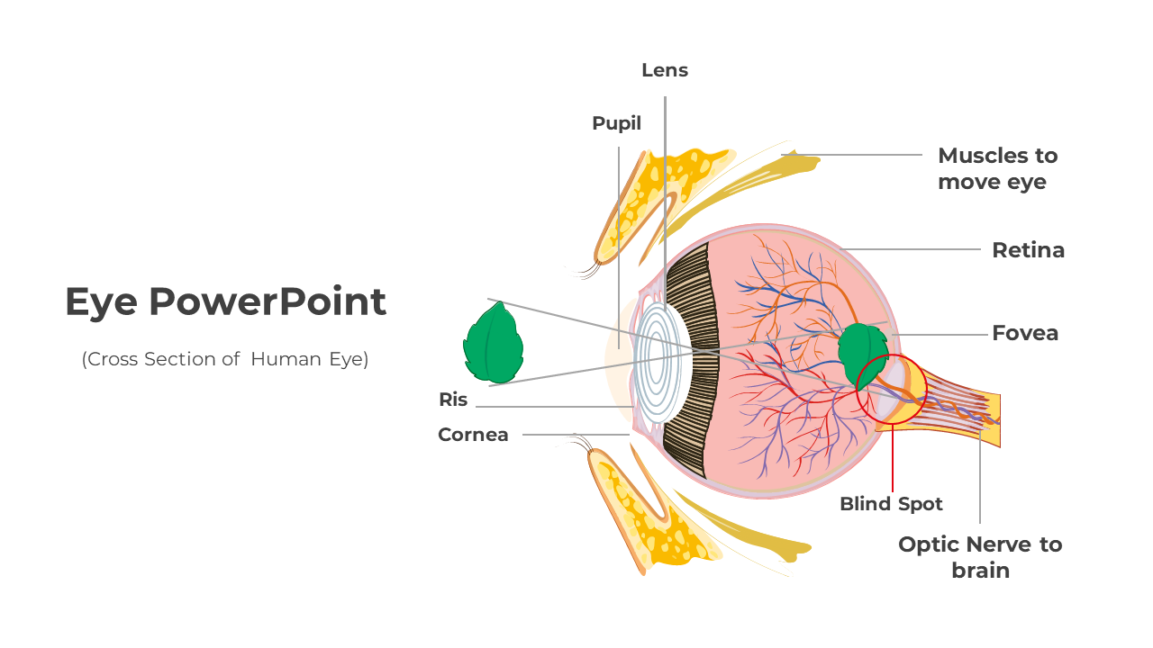 Innovative Eye PowerPoint Template And Google Slides
