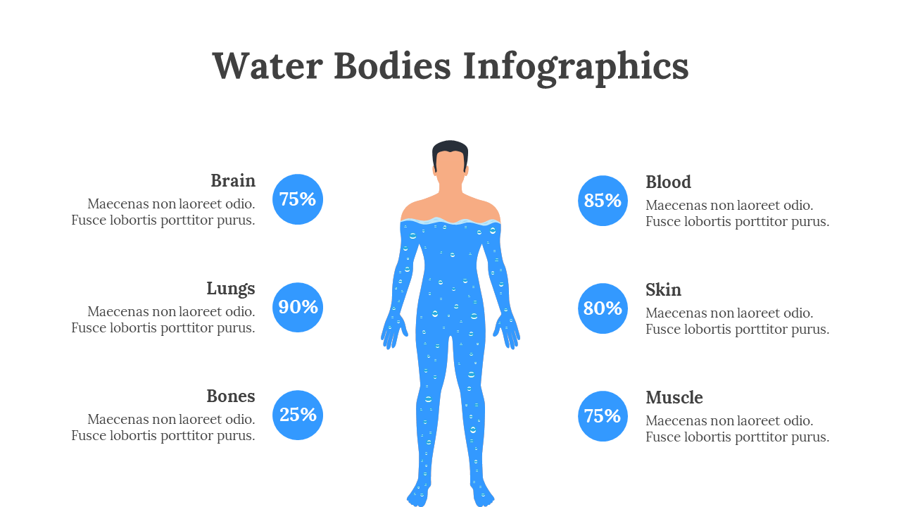 Water Bodies Infographics