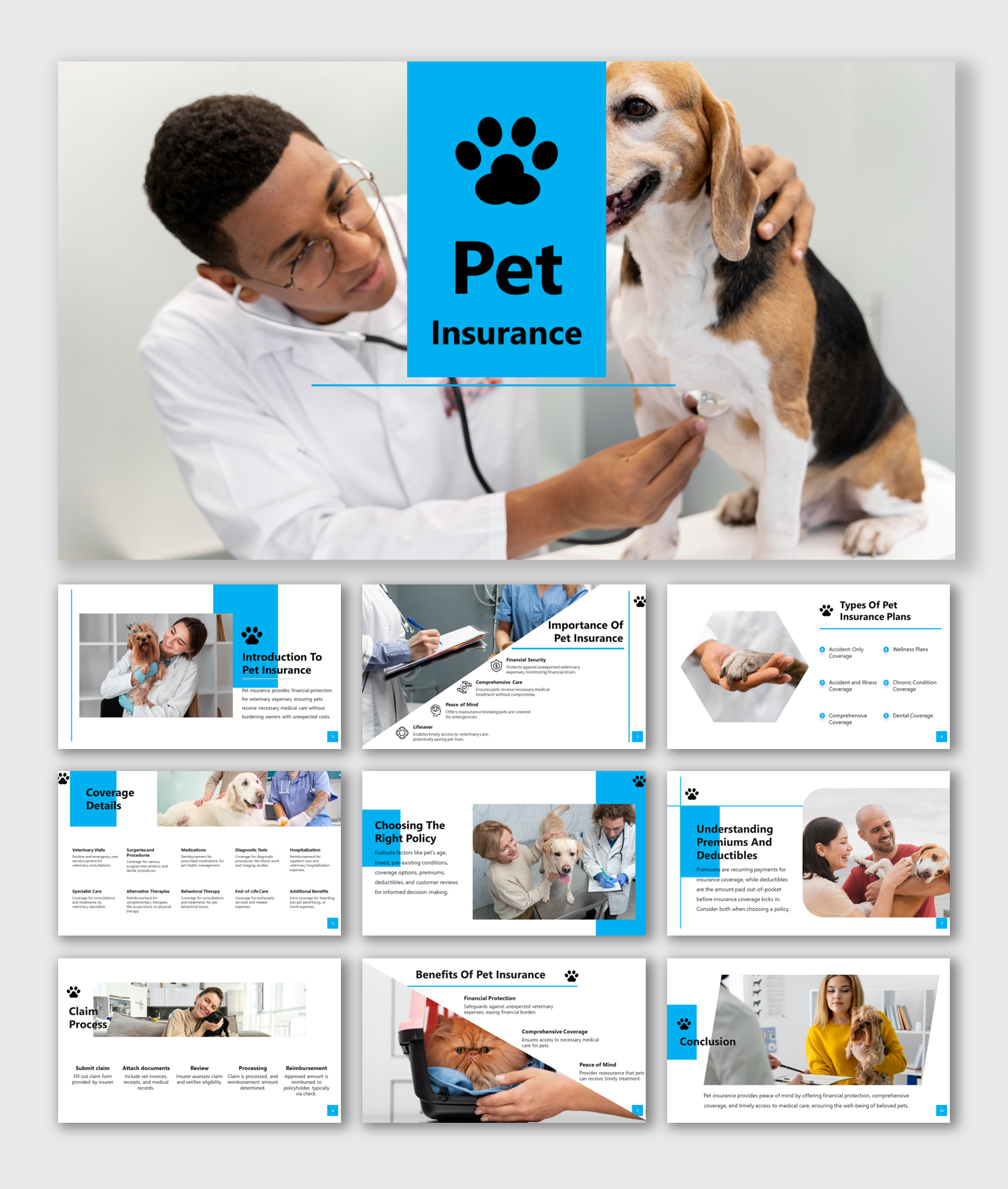 Explore Our Pet Insurance PPT And Google Slides Templates