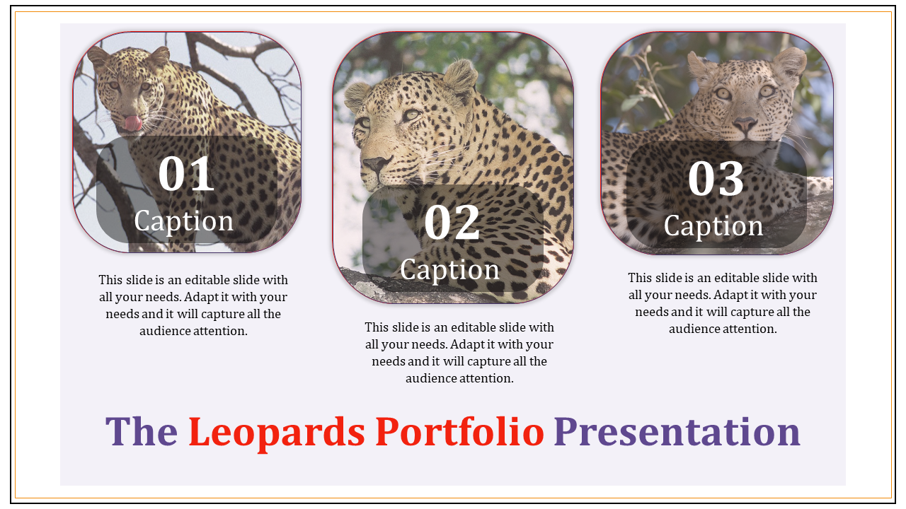Three rounded square with leopard images in a horizontal layout on a light background with captions below.