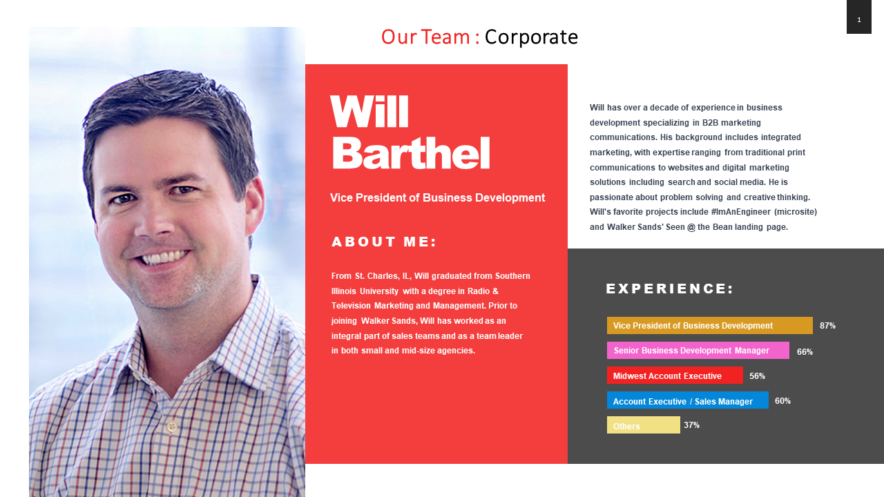 Professional team member profile template with photo, name, title, and experience chart.