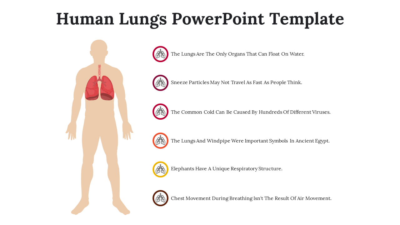 Human Lungs PowerPoint Template