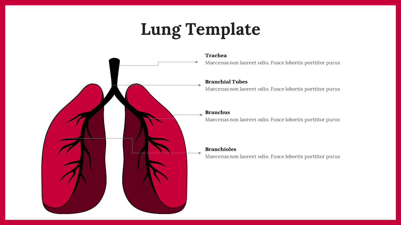 Attractive Lung Template And Google Slides For Your Needs