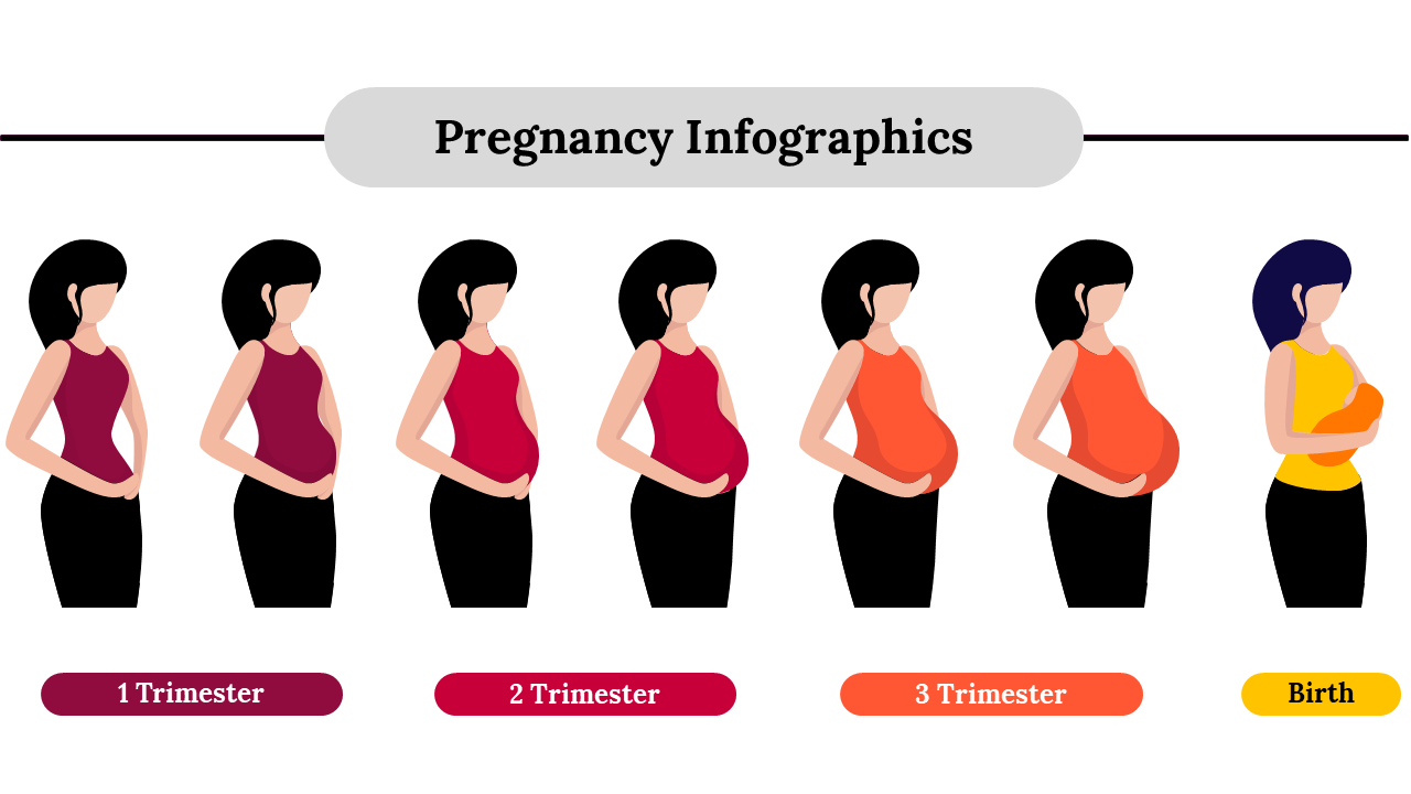 Pregnancy Infographics