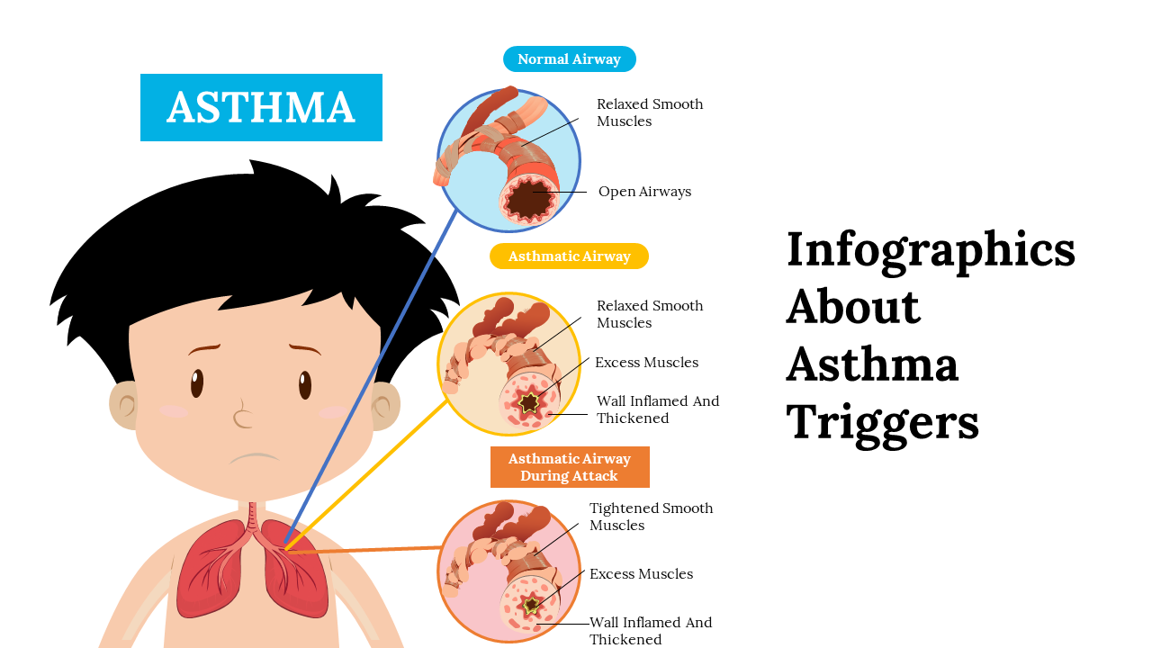 Infographics About Asthma Triggers