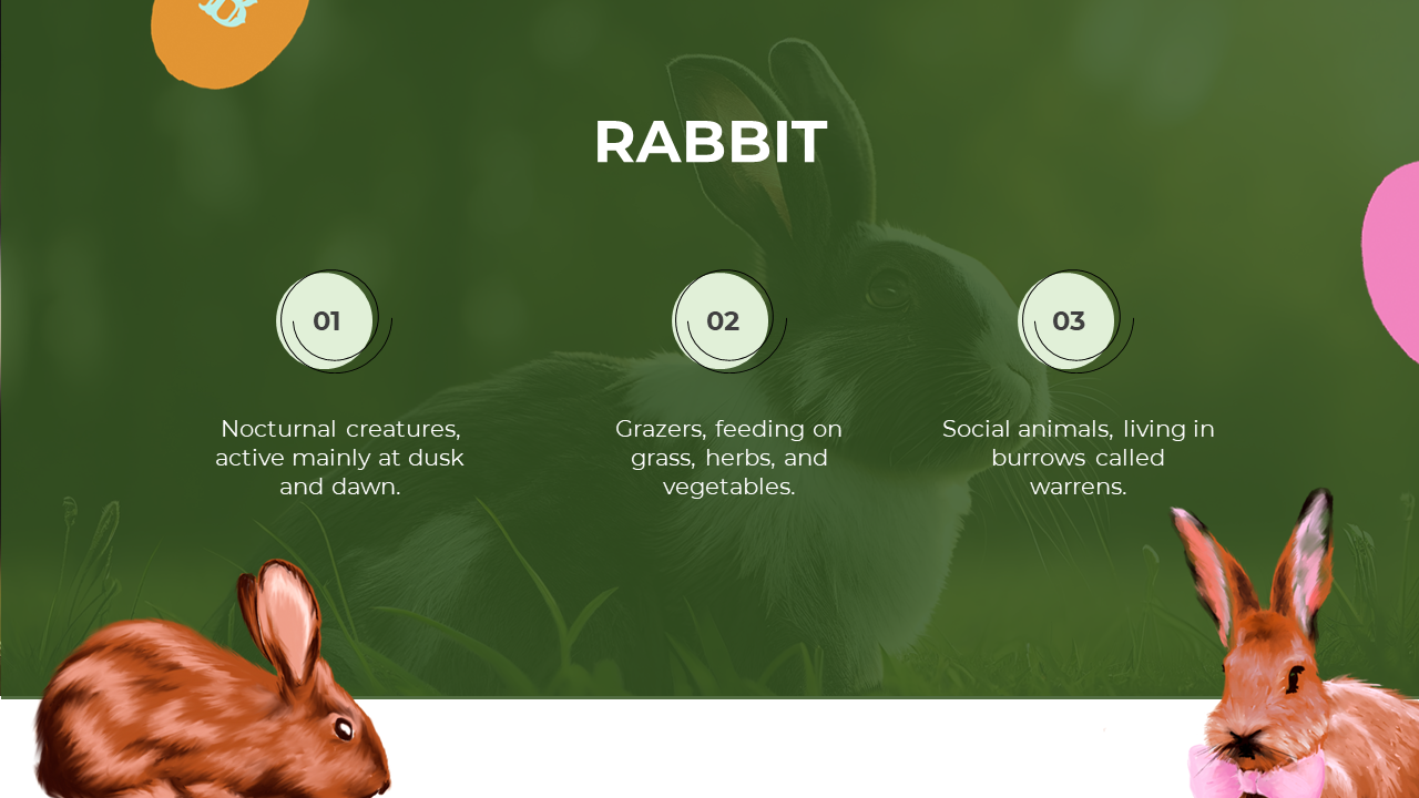 Innovative Rabbit PowerPoint And Google Slides Template