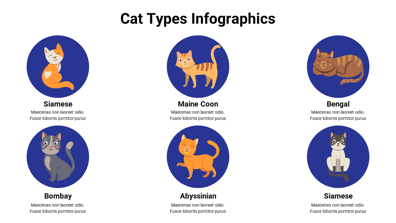 Innovative Cat Types Infographics PPT And Google Slides