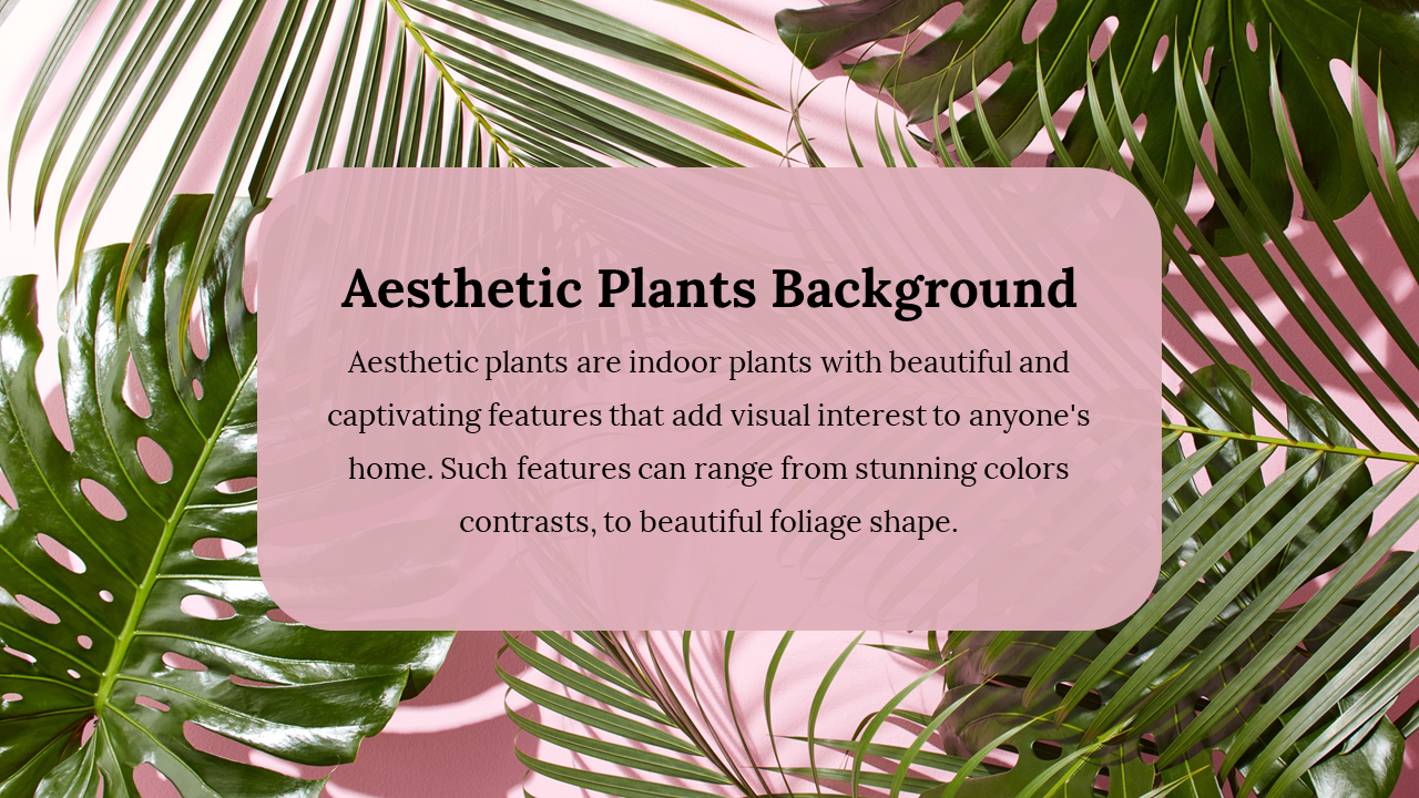 Aesthetic Plants Background PowerPoint And Google Slides