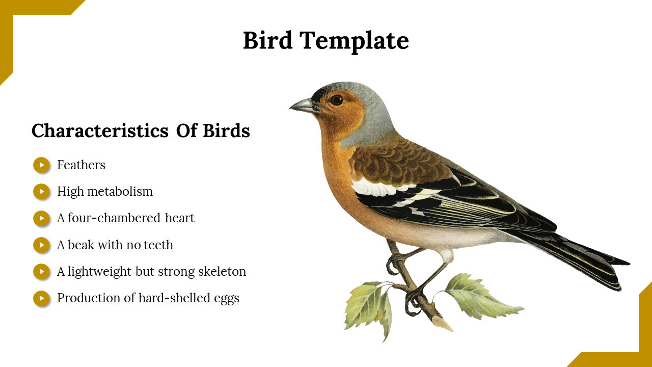 Easy To Customizable Bird And Google Slides Template 