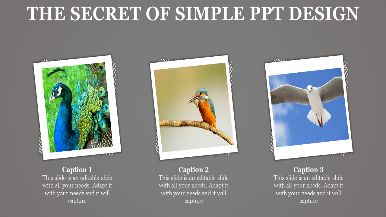 Slide with a gray background, showing three polaroid style white frames showing a peacock, a kingfisher, and a seagull.