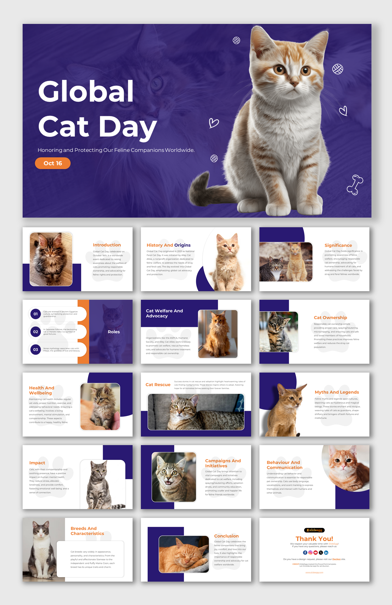 Download Global Cat Day PPT And Google Slides Templates