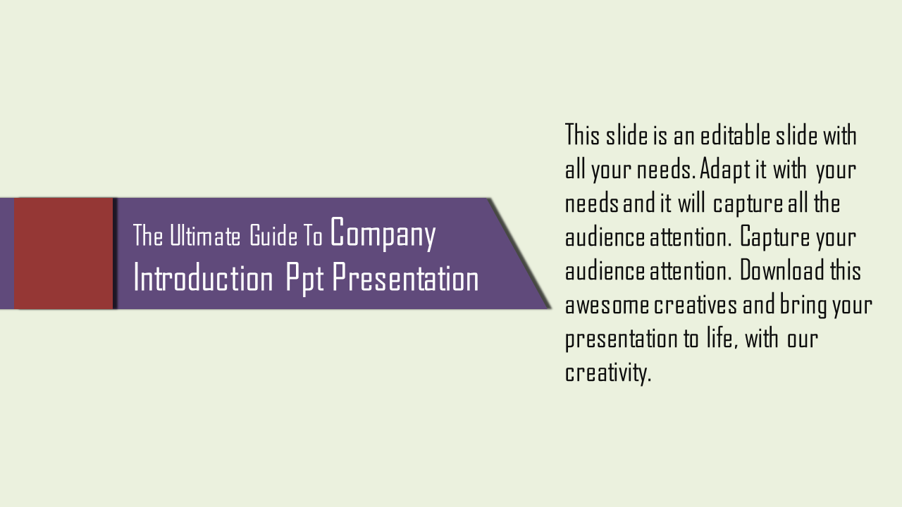 Company introduction slide with a purple banner and red stripe on a pale background, featuring modern text design.