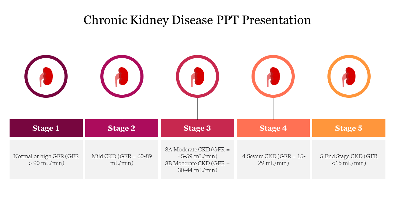 Chronic Kidney Disease PPT Presentation and Google Slides