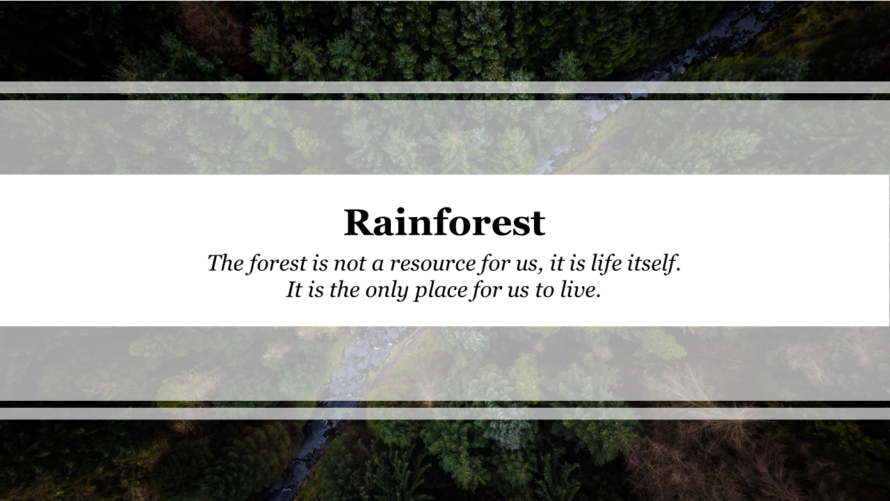 Rainforest PPT Template