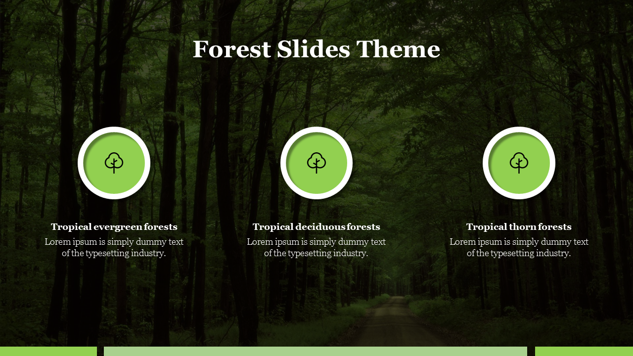 Awesome Forest Slides Theme PowerPoint Presentation