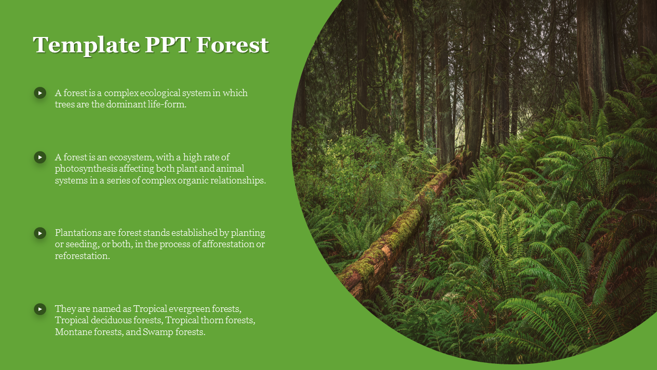 Template PPT Forest
