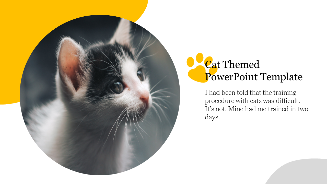 Cat Themed PowerPoint Template