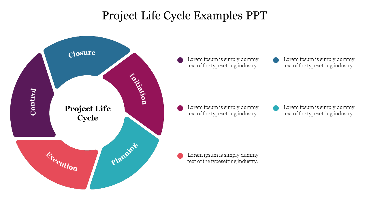 Project Life Cycle Examples PPT