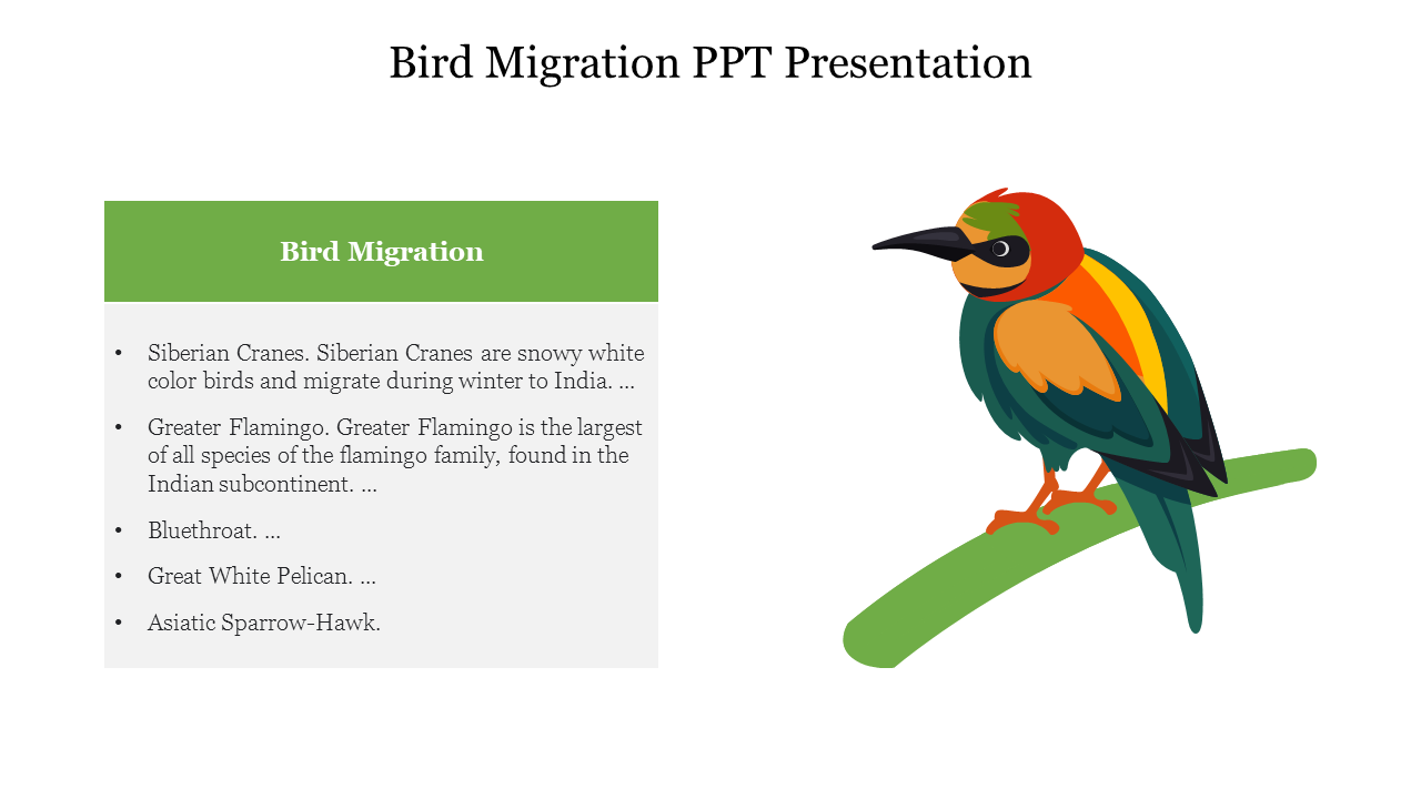 Download Bird Migration PPT Presentation Slide Design