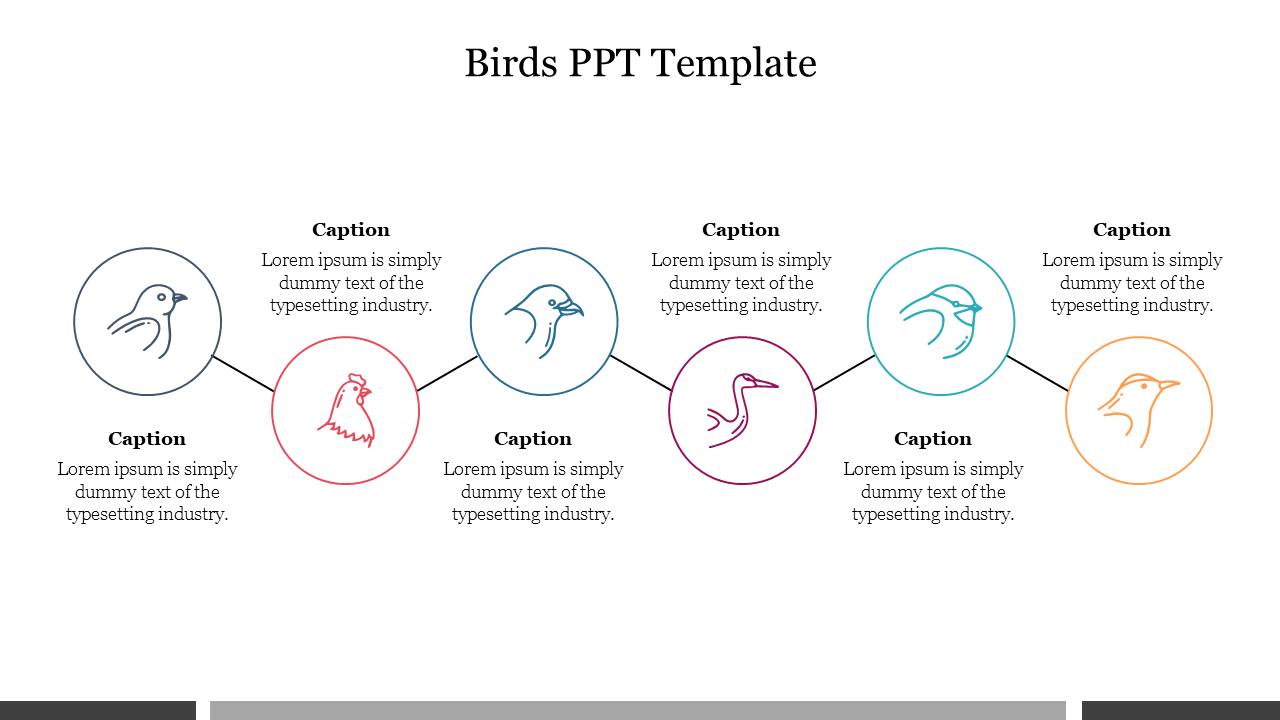 Birds PPT Template