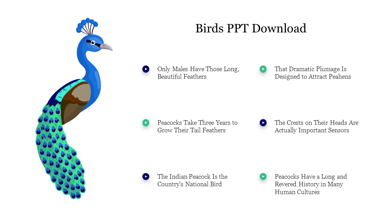Birds PPT Template Download & Google Slides Presentation