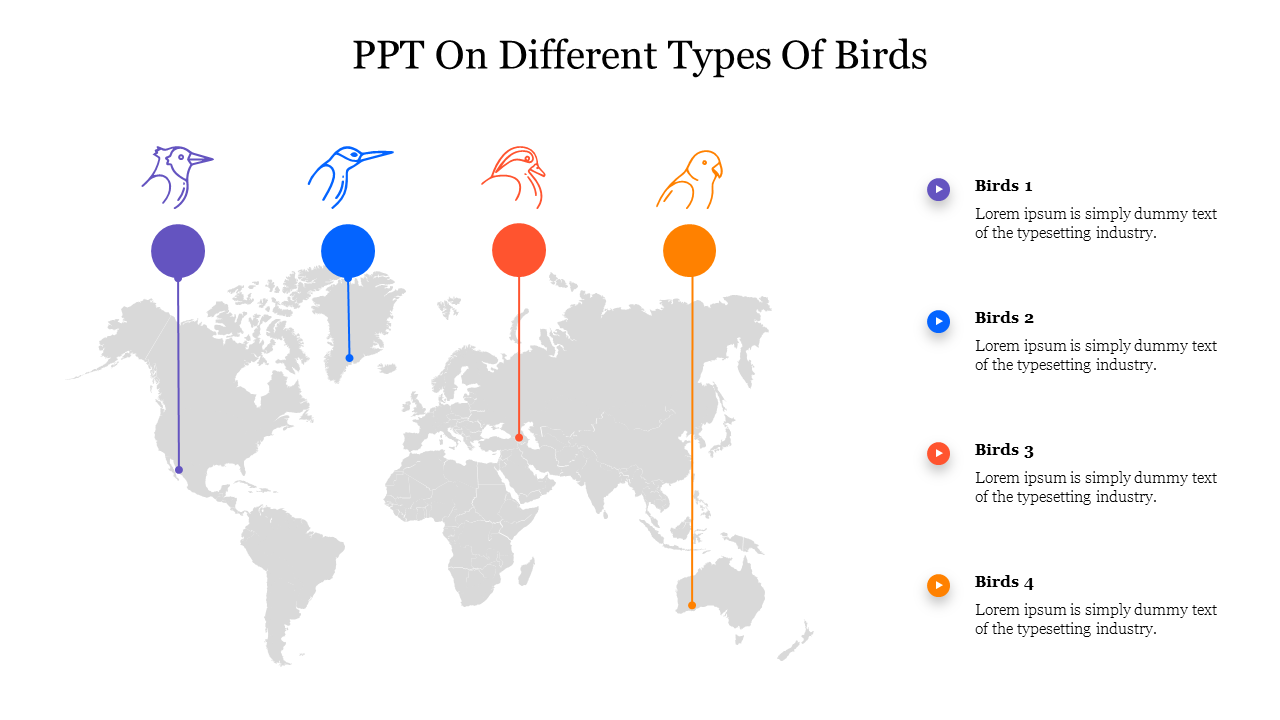 Creative PPT On Different Types Of Birds For Presentation