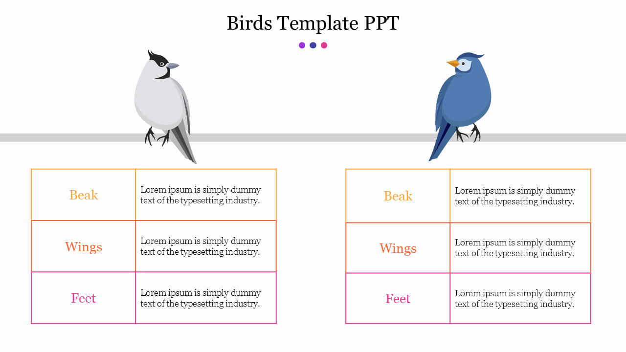 Innovative Birds Template PPT Presentation Template