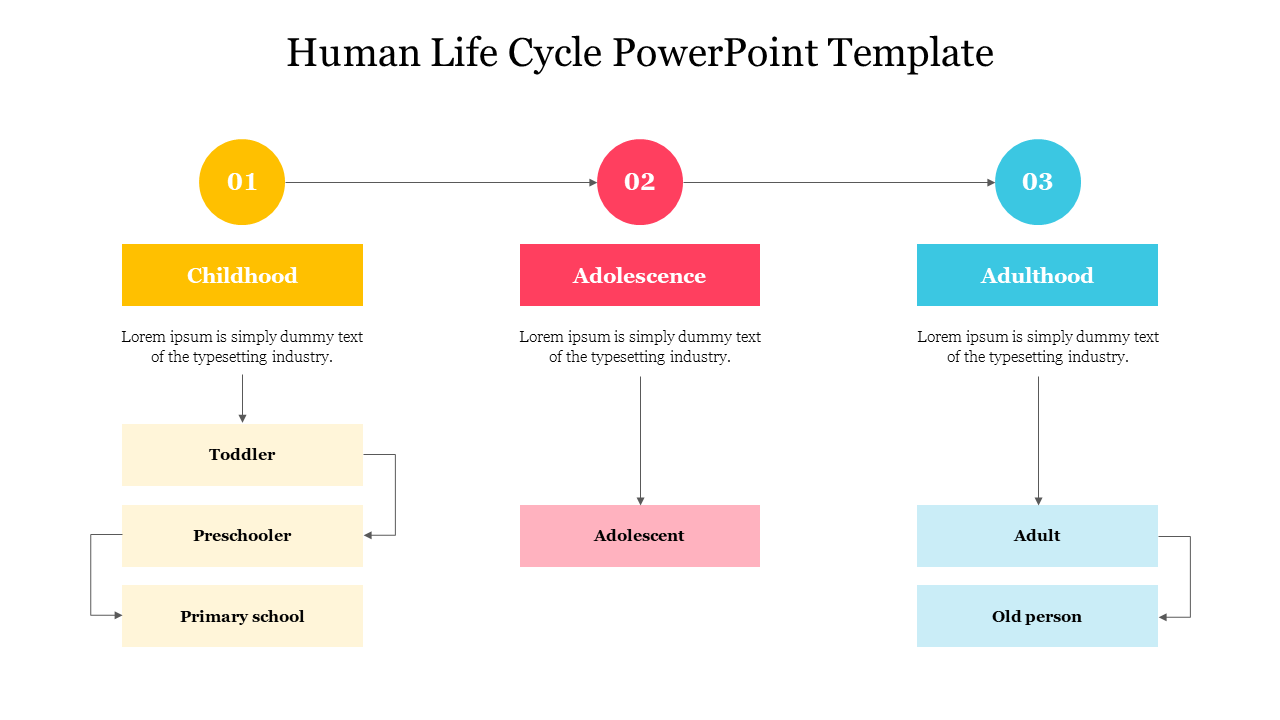 Free Human Life Cycle PowerPoint Template